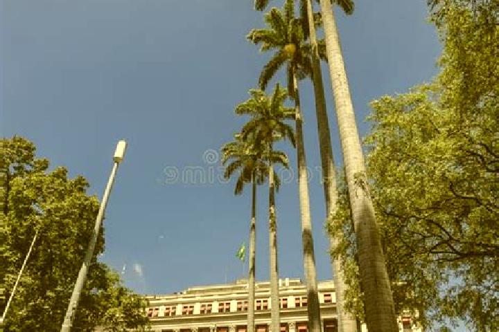 Escorts Paulo Ramos, Brazil — Local Companions