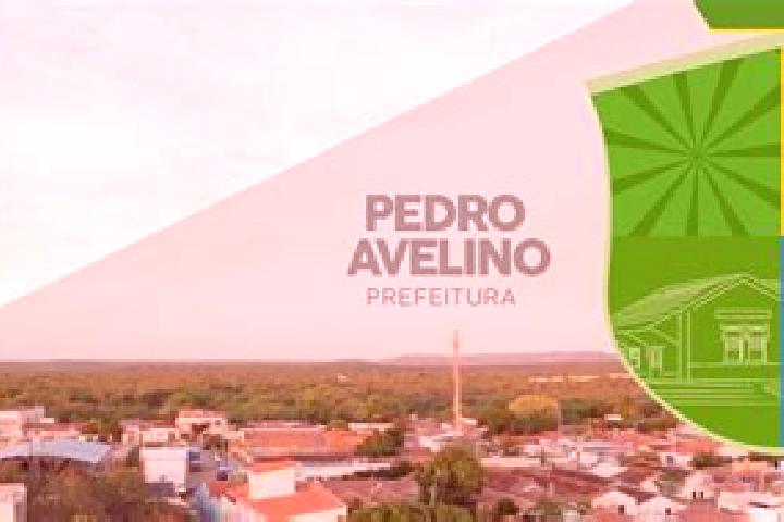 Escorts Pedro Avelino, Brazil — Local Companions