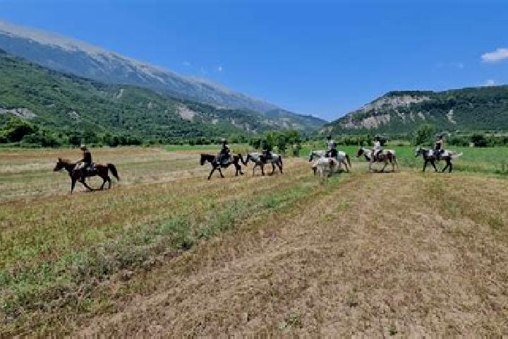 Escorts Permet, Albania — Local Companions
