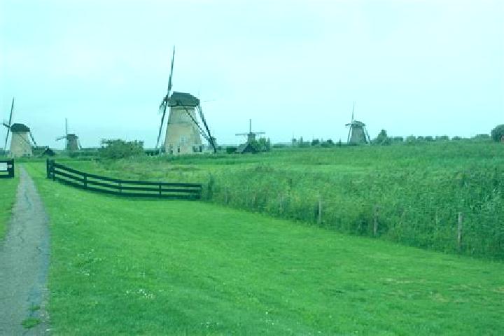 Escorts Pernis, Netherlands — Local Companions