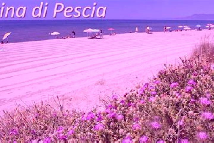 Escorts Pescia Romana, Italy — Local Companions