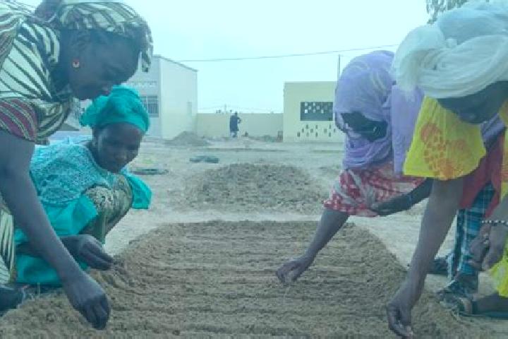 Escorts Pete, Senegal — Local Companions