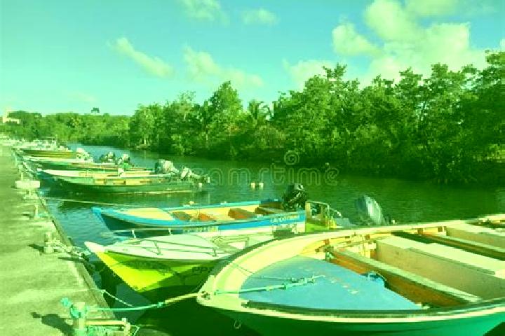 Escorts Petit-Canal, Guadeloupe — Local Companions
