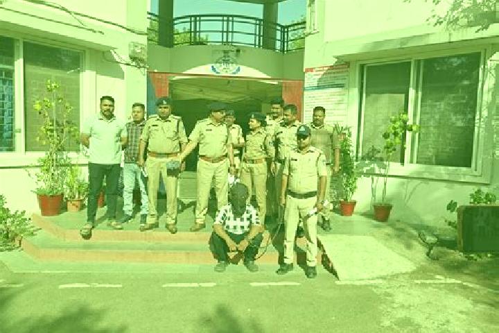 Escorts Petlawad, India — Local Companions