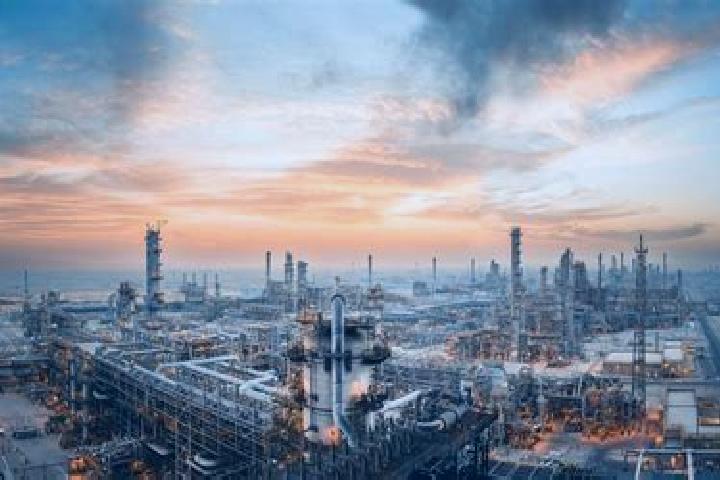 Escorts Petro-Chemical Complex INA, India — Local Companions
