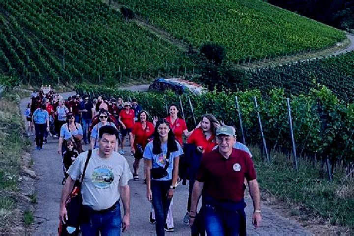 Escorts Pfaffenweiler, Germany — Local Companions