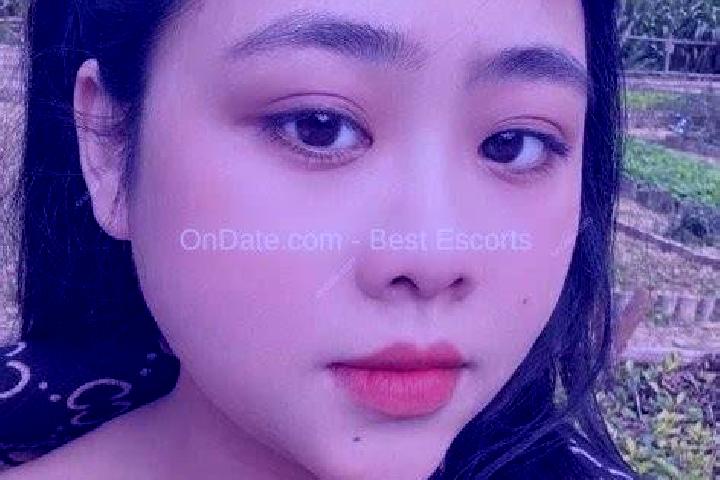 Escorts Phu Tuc, Vietnam — Local Companions