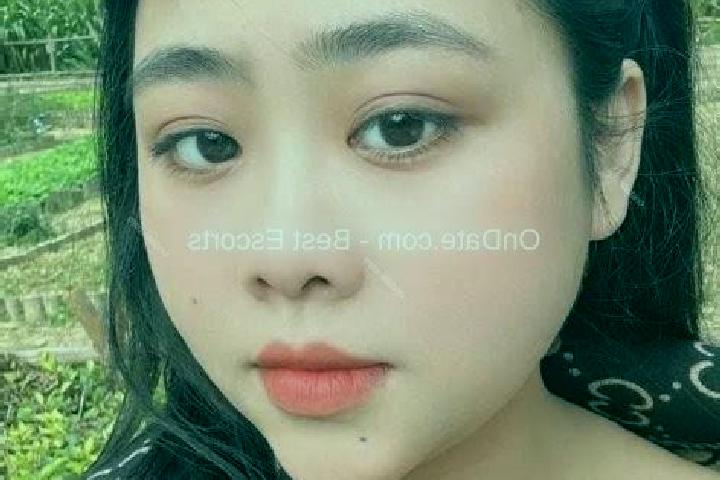 Escorts Phung Nghia, Vietnam — Local Companions