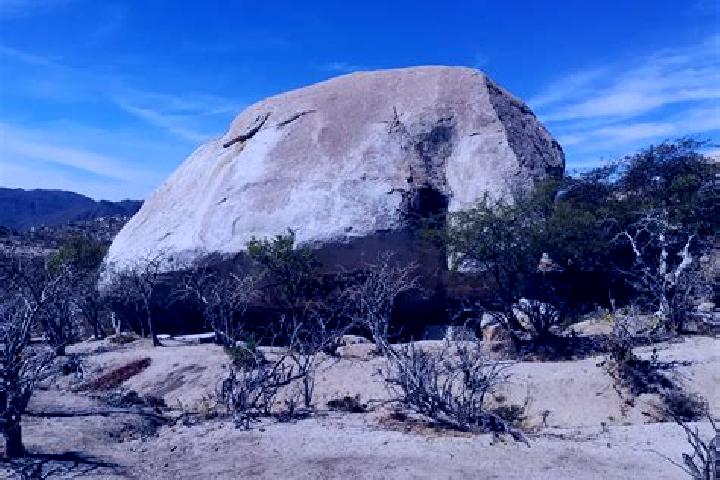 Escorts Piedra Gorda, Mexico — Local Companions