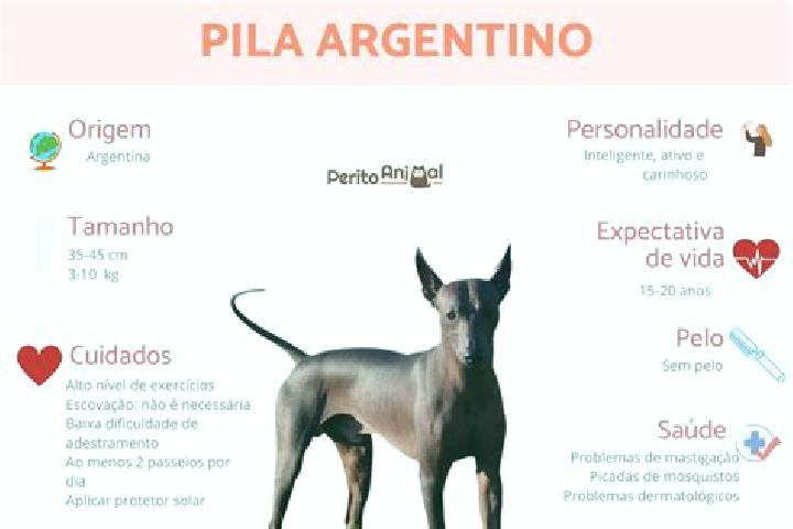 Escorts Pila, Argentina — Local Companions