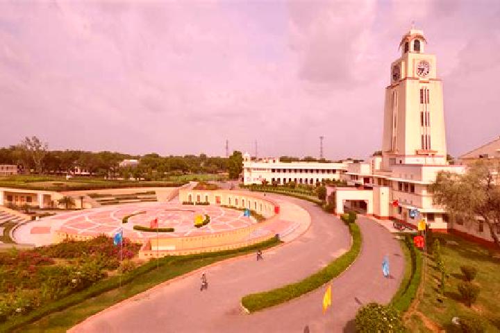 Escorts Pilani, India — Local Companions