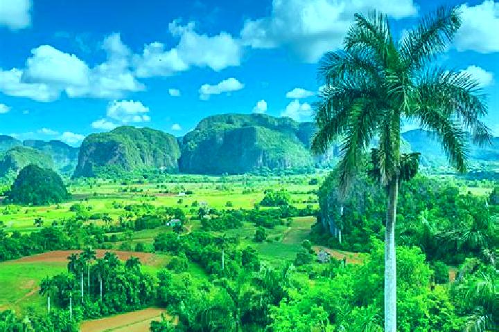 Escorts Pinar del Rio, Cuba — Local Companions