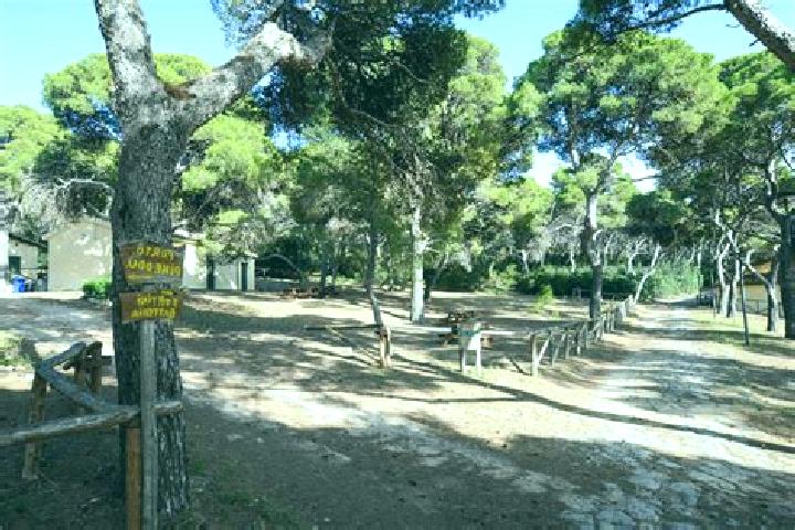 Escorts Pineta, Italy — Local Companions