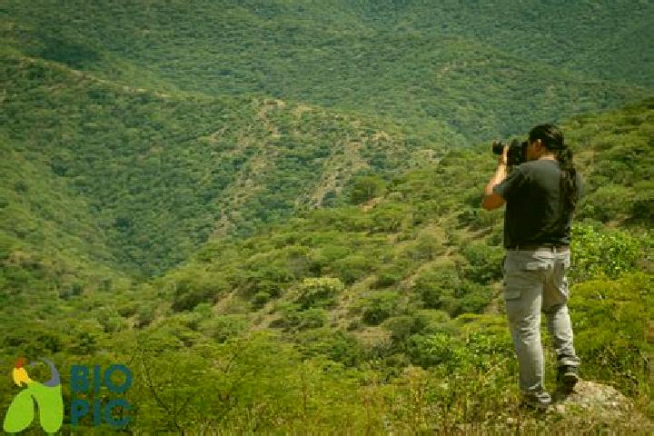 Escorts Pinillo, Mexico — Local Companions