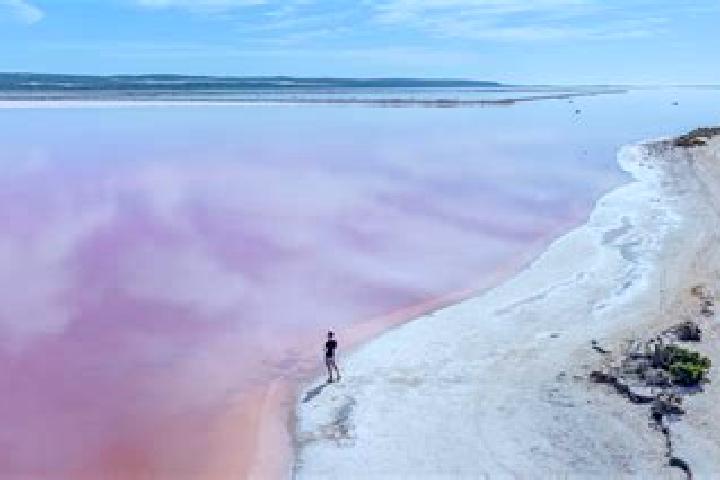 Escorts Pink Lake, Australia — Local Companions