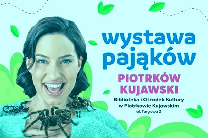 Escorts Piotrkow Kujawski, Poland — Local Companions