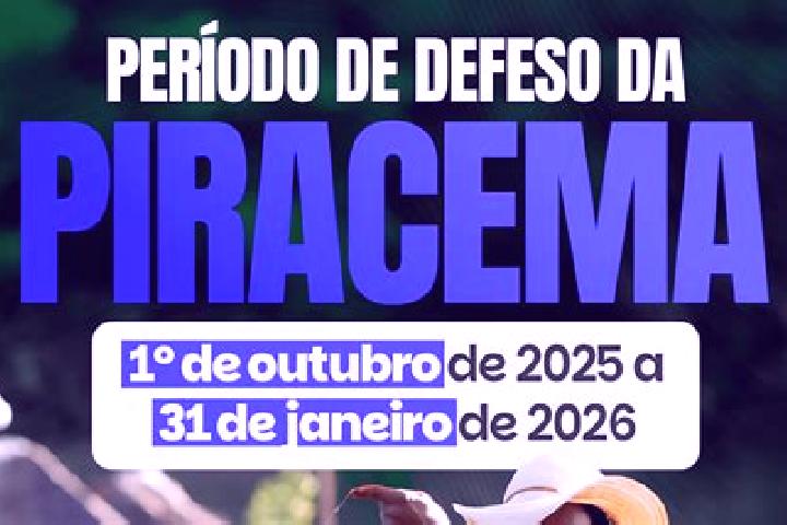 Escorts Piracema, Brazil — Local Companions