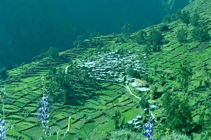 Escorts Pirca, Peru — Local Companions