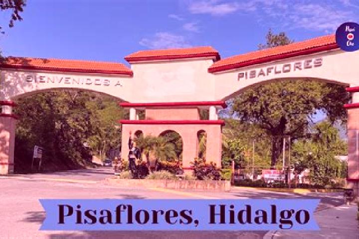 Escorts Pisaflores, Mexico — Local Companions