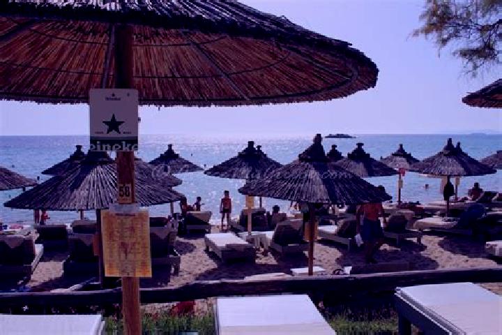 Escorts Plagia, Greece — Local Companions