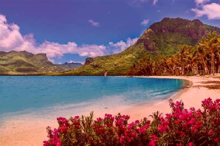Escorts Plaines des Roches, Mauritius — Local Companions
