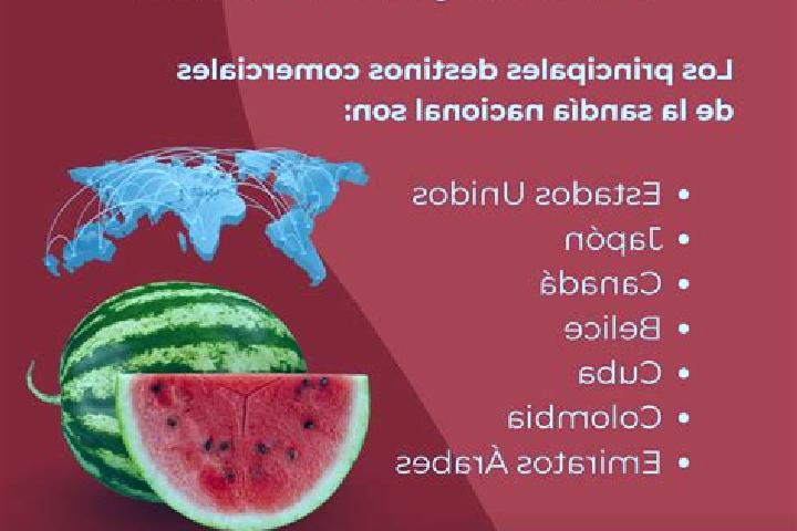 Escorts Plan Guanajuato (La Sandia), Mexico — Local Companions