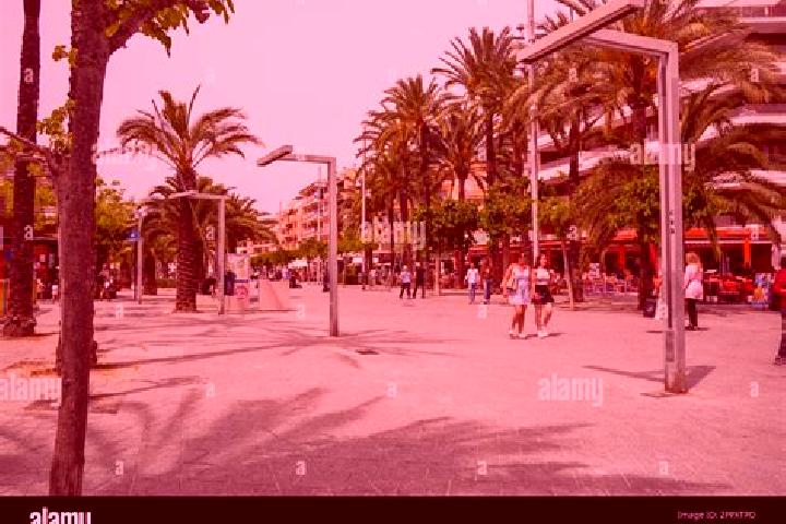 Escorts Platja d Alcudia, Spain — Local Companions