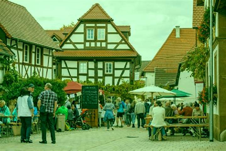 Escorts Pleisweiler-Oberhofen, Germany — Local Companions