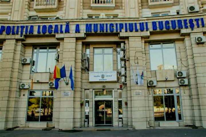 Escorts Plesa, Romania — Local Companions