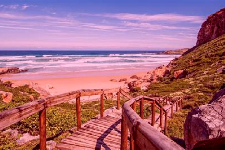Escorts Plettenberg Bay, South Africa — Local Companions