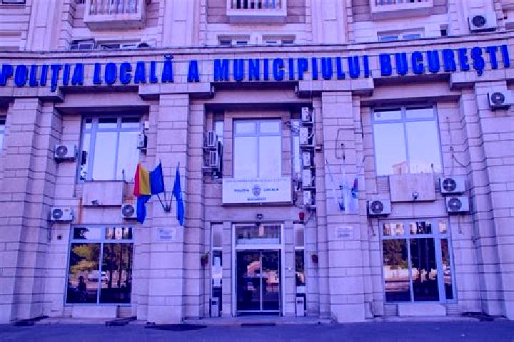 Escorts Ploiesti, Romania — Local Companions