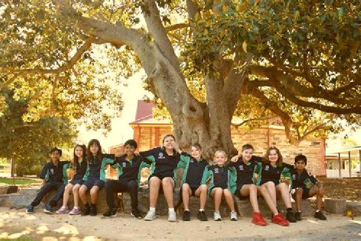 Escorts Plympton Park, Australia — Local Companions
