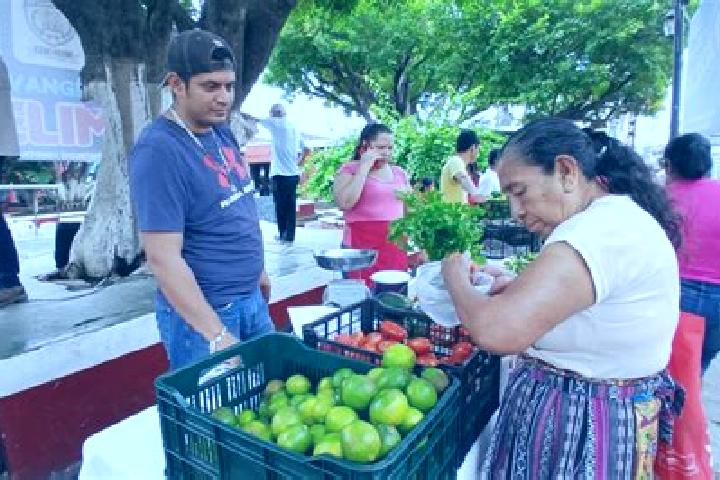 Escorts Pochuta, Guatemala — Local Companions