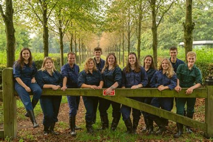 Escorts Poederoijen, Netherlands — Local Companions