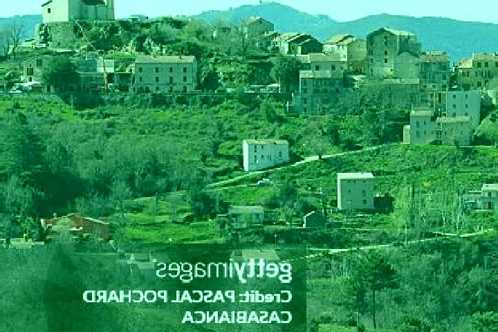 Escorts Poggio-di-Venaco, France — Local Companions