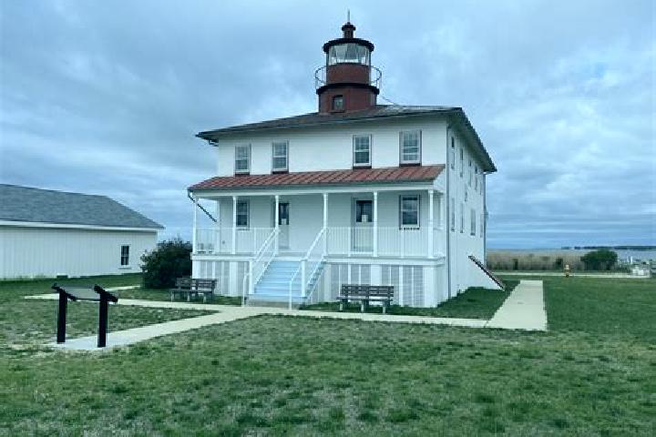 Escorts Point Lookout, United States — Local Companions