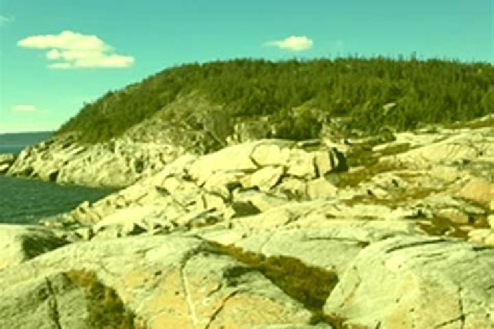 Escorts Pointe-a-la-Croix, Canada — Local Companions
