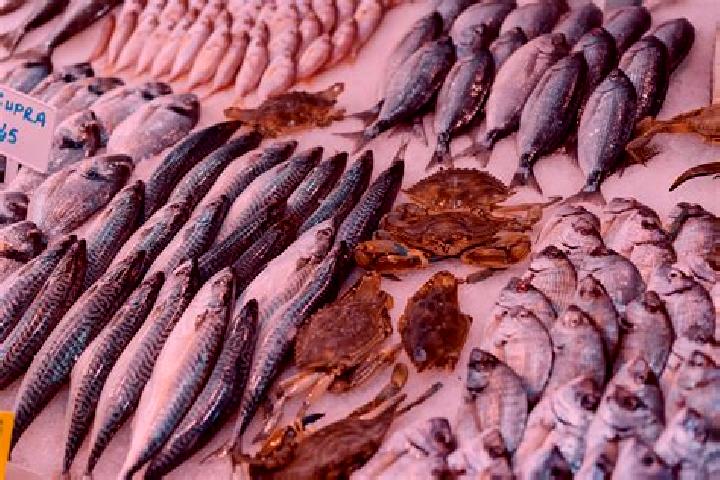 Escorts Poisson, France — Local Companions