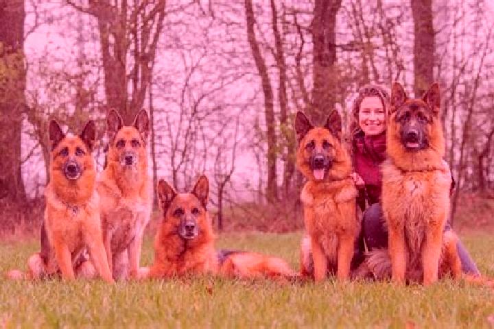 Escorts Pomster, Germany — Local Companions