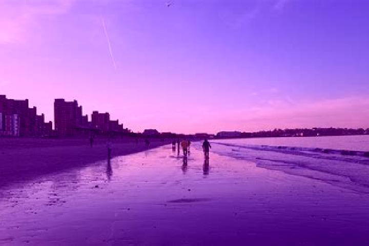 Escorts Pontoon Beach, United States — Local Companions