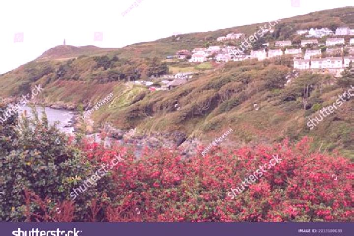 Escorts Port Erin, Isle of Man — Local Companions