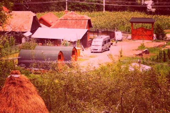 Escorts Posaga de Sus, Romania — Local Companions