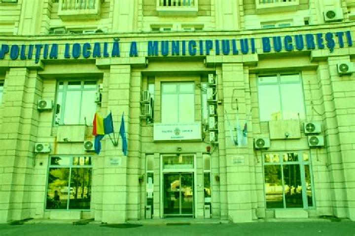 Escorts Potelu, Romania — Local Companions