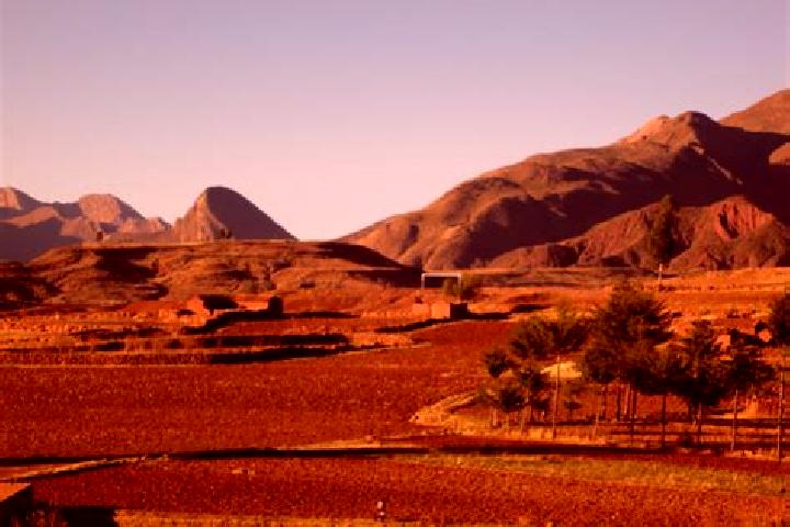 Escorts Potolo, Bolivia — Local Companions