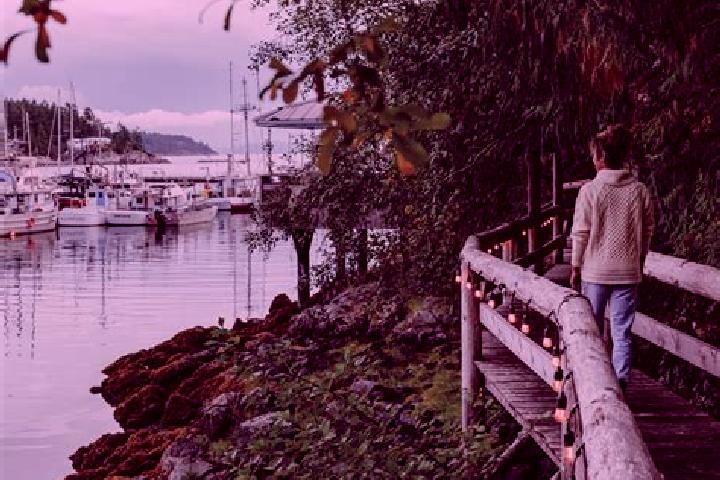 Escorts Powell River, Canada — Local Companions