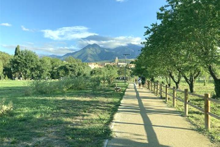 Escorts Prades, France — Local Companions