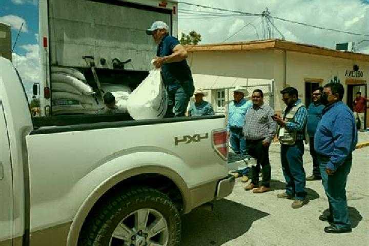 Escorts Praxedis G. Guerrero Nuevo (La Loma), Mexico — Local Companions