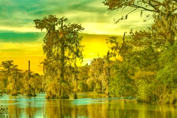 Escorts Pretty Bayou, United States — Local Companions