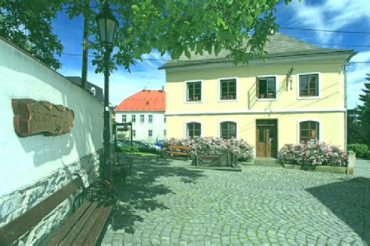 Escorts Pribor, Czech Republic — Local Companions
