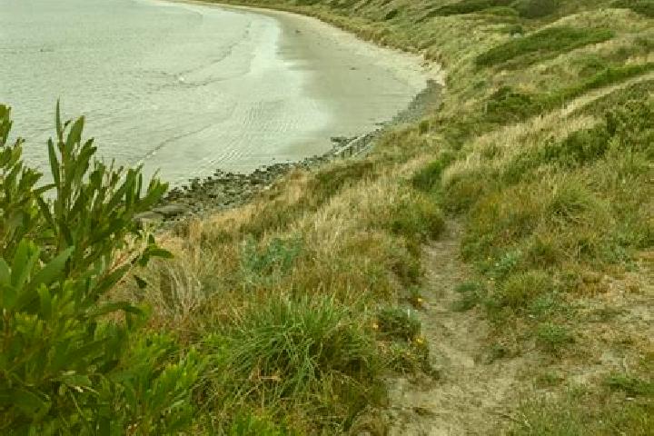 Escorts Primrose Sands, Australia — Local Companions